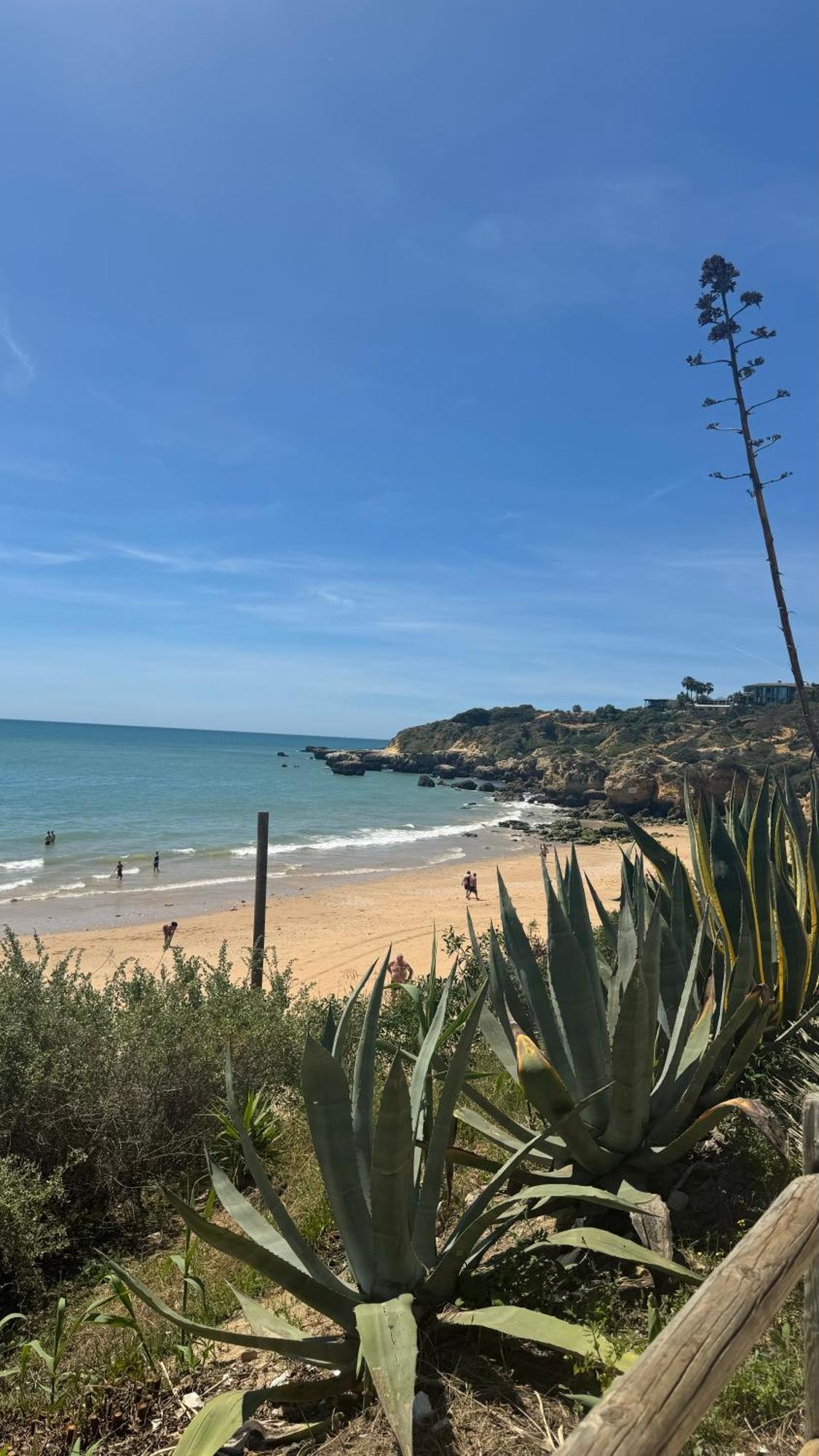 Algarvegas Paradise apartament Albufeira Bagian luar foto